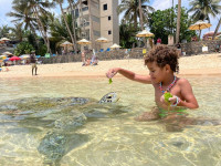 /album/fotogaleria-sri-lanka-vy-a-my/sri-lanka-maldivy-zajazd-70-jpg3/
